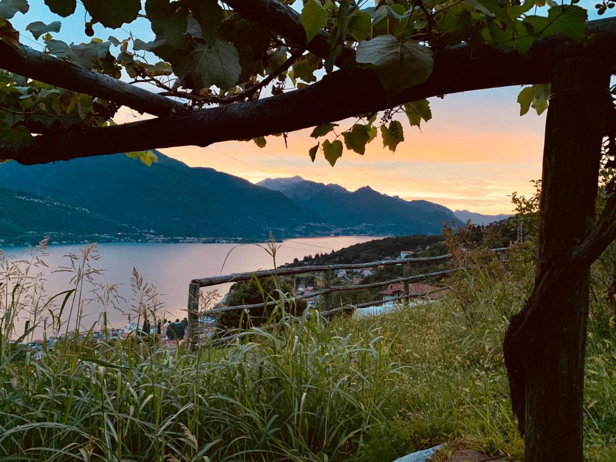 Agriturismo Treterre Pianello Del Lario Exteriör bild
